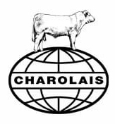 charolais