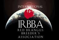 irbba