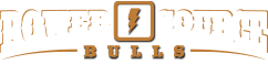 Power Source Bulls
